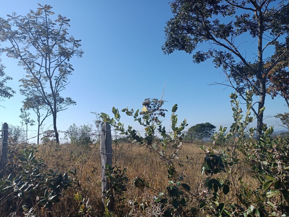 Terreno, 2000 m² - Foto 6