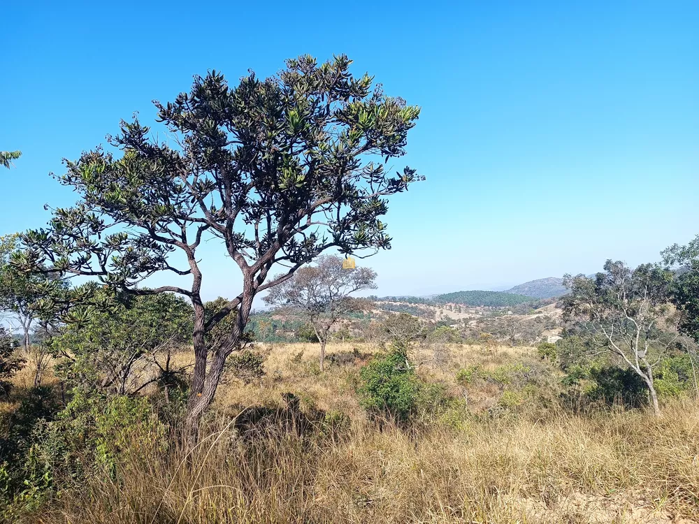 Terreno à venda, 2000m² - Foto 2