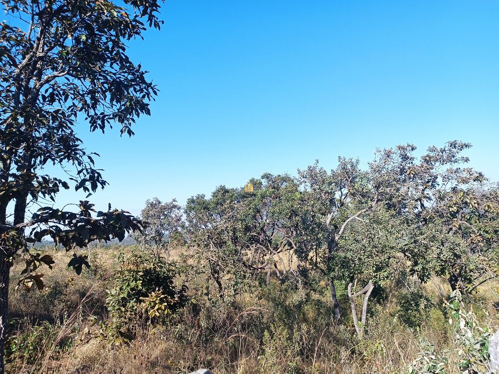 Terreno, 2000 m² - Foto 5