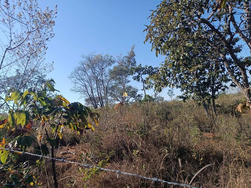 Terreno à venda, 2000m² - Foto 4