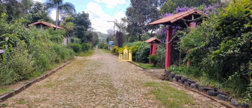 Sítio, 4 quartos, 5400 m² - Foto 2