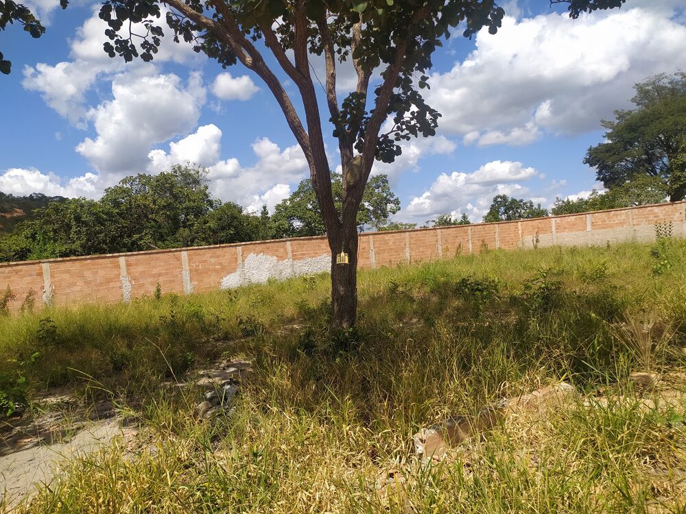 Terreno, 360 m² - Foto 7