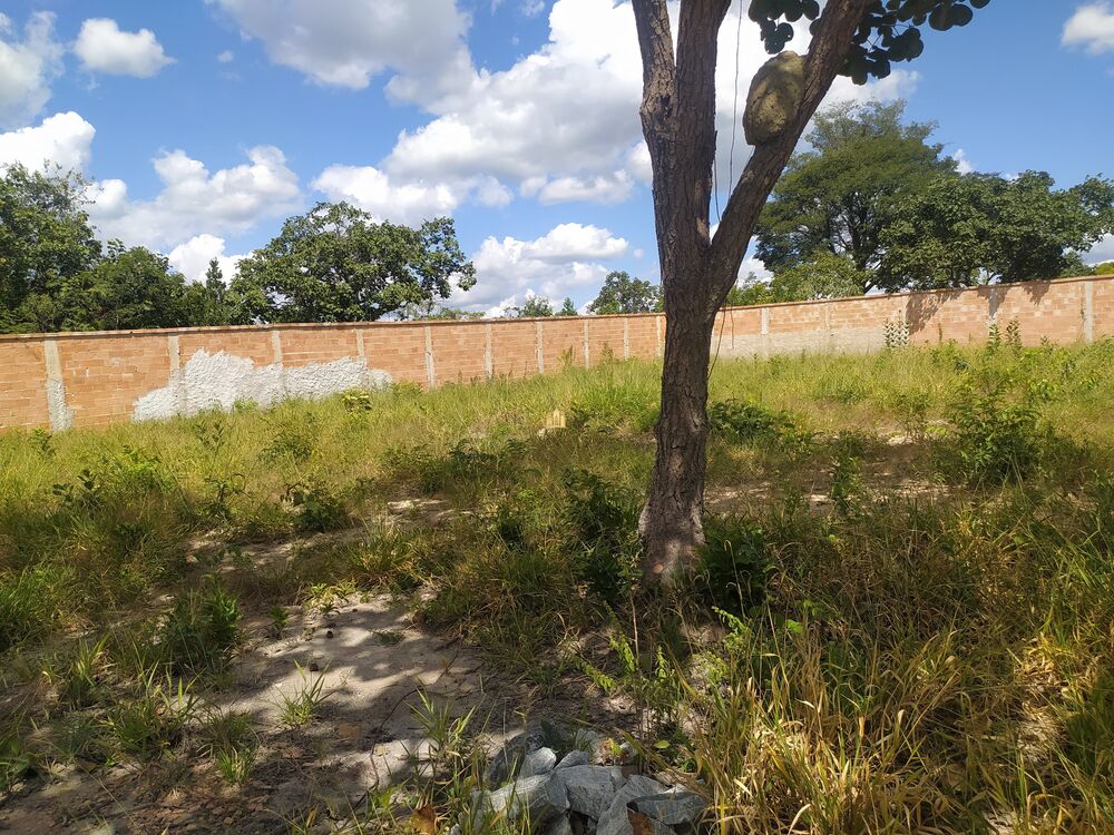 Terreno, 360 m² - Foto 4