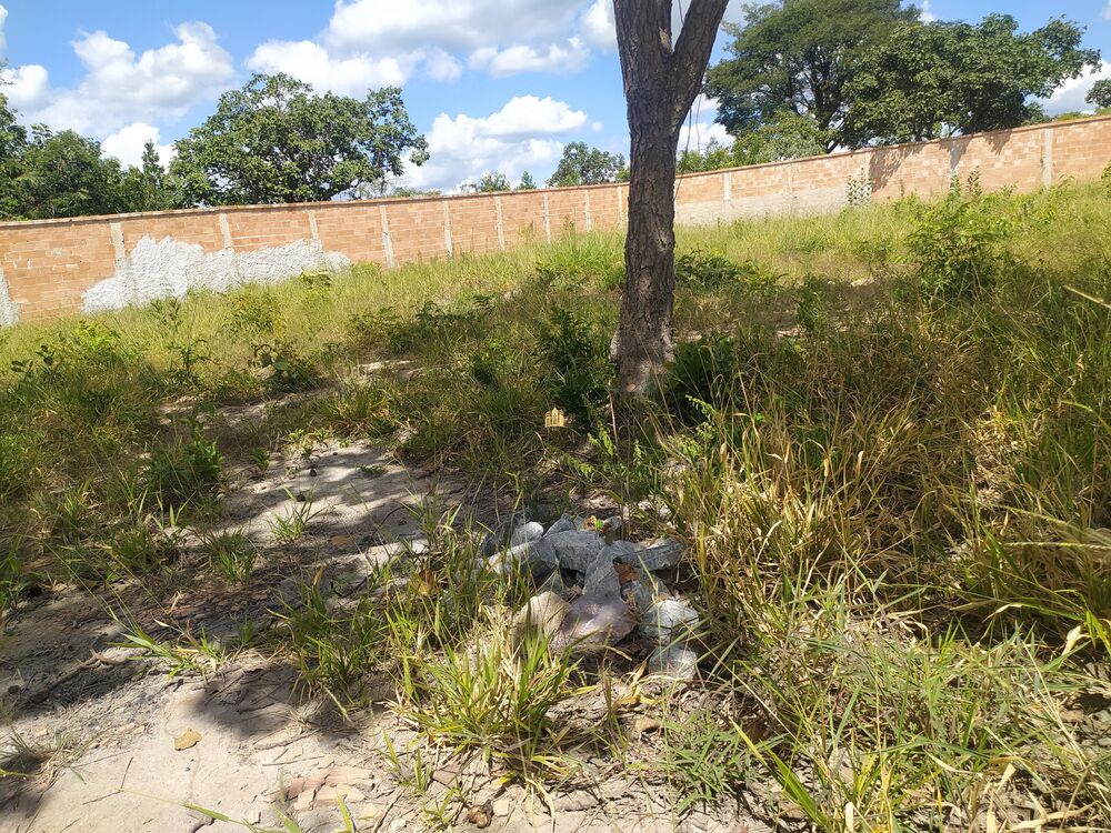 Terreno, 360 m² - Foto 3