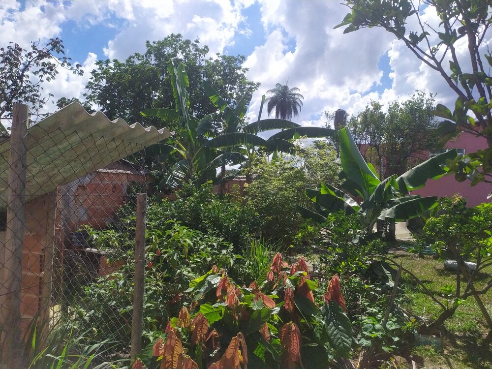 Casa, 2 quartos, 360 m² - Foto 7