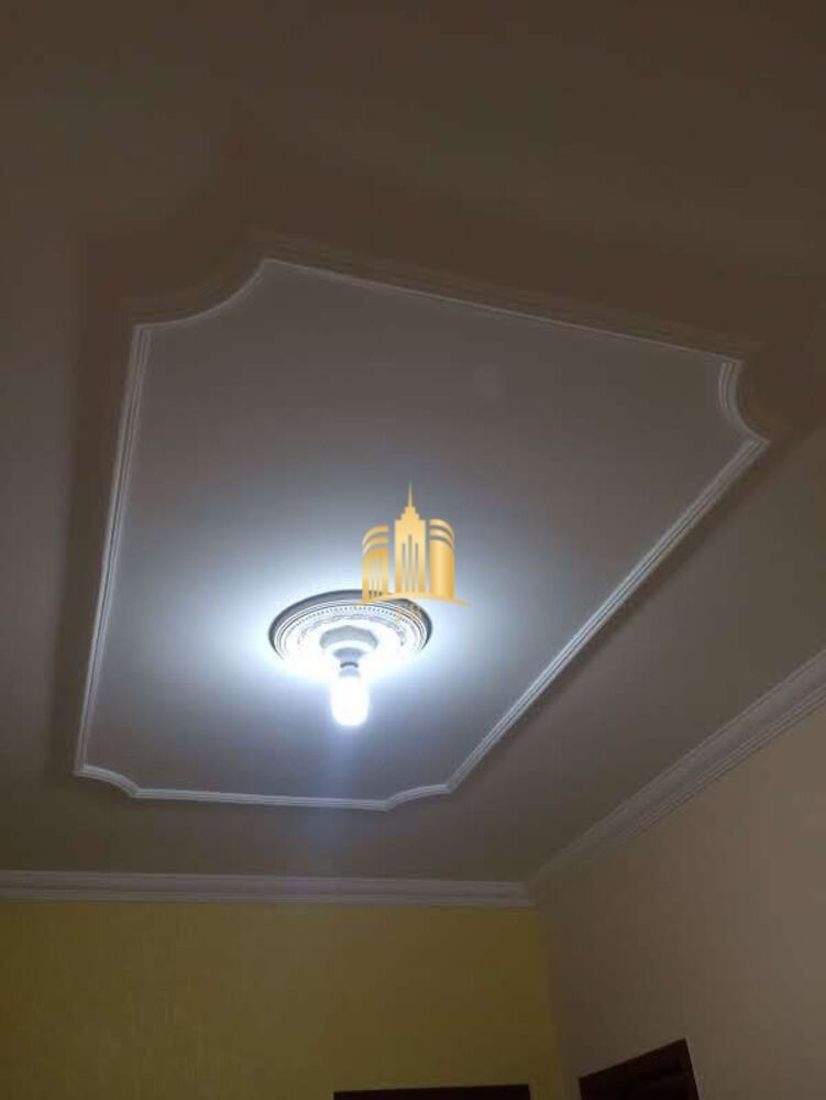 Chácara à venda com 2 quartos, 1000m² - Foto 8