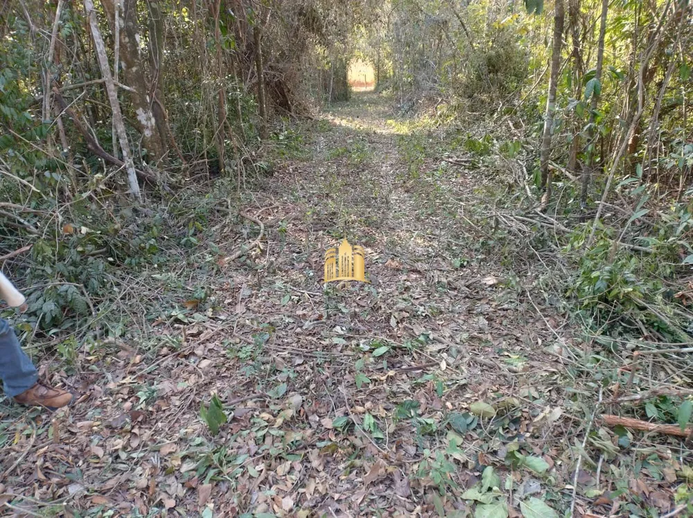 Terreno, 2500 m² - Foto 3