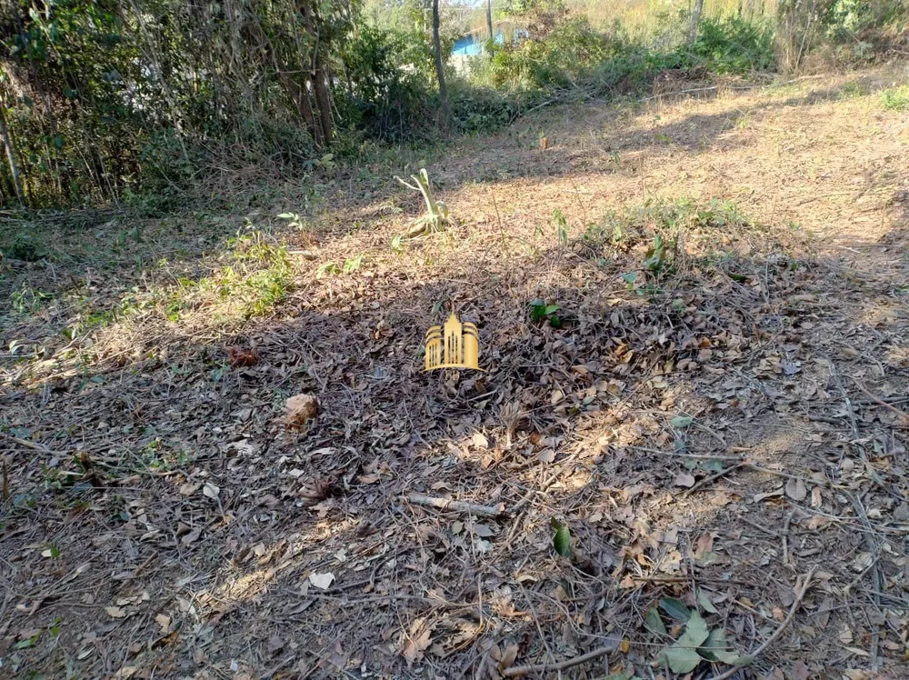 Terreno, 2500 m² - Foto 4