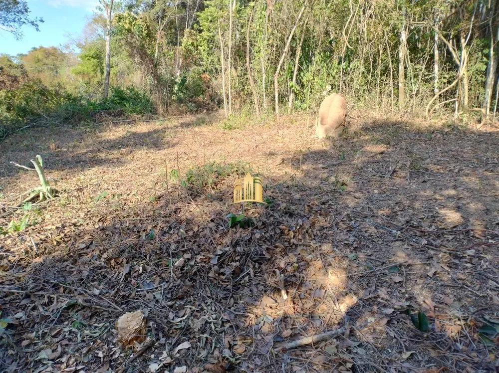 Terreno à venda, 5000m² - Foto 2