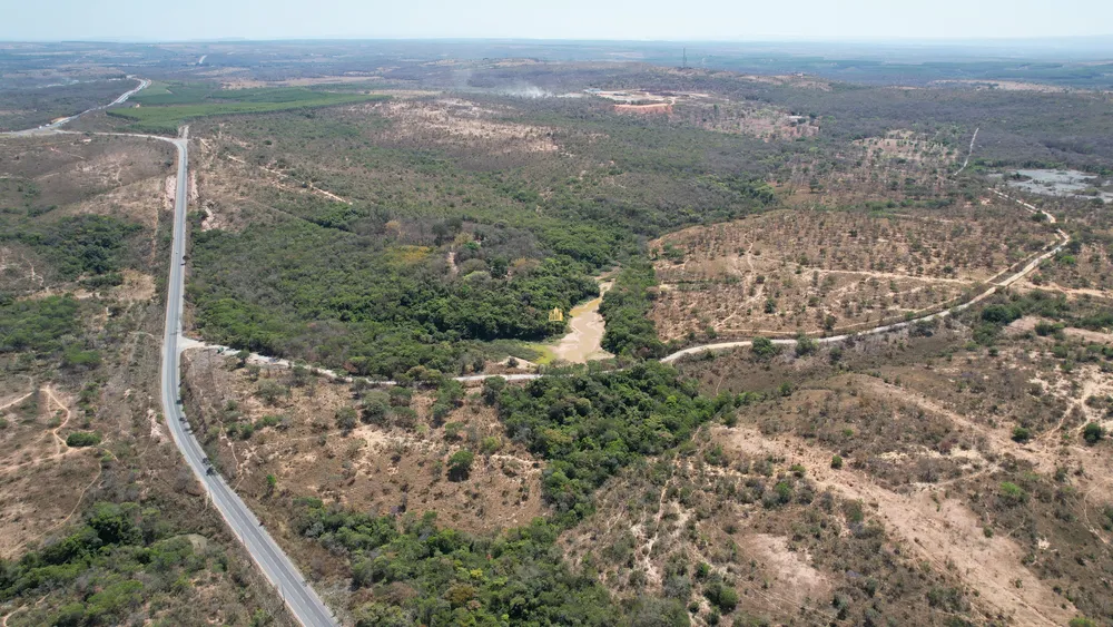Fazenda, 215 hectares - Foto 8