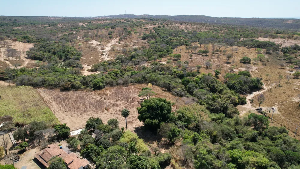 Fazenda, 215 hectares - Foto 7