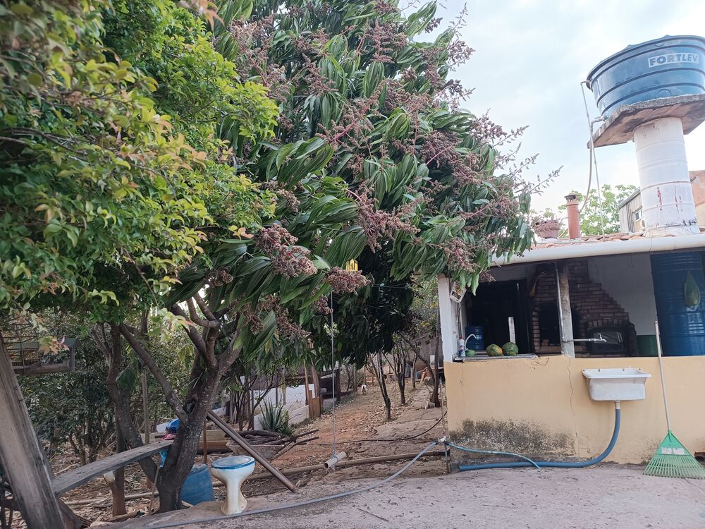 Sítio, 4 quartos, 2400 m² - Foto 5