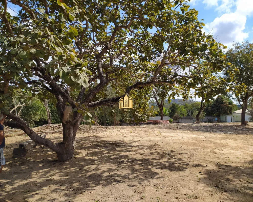 Terreno, 4000 m² - Foto 9
