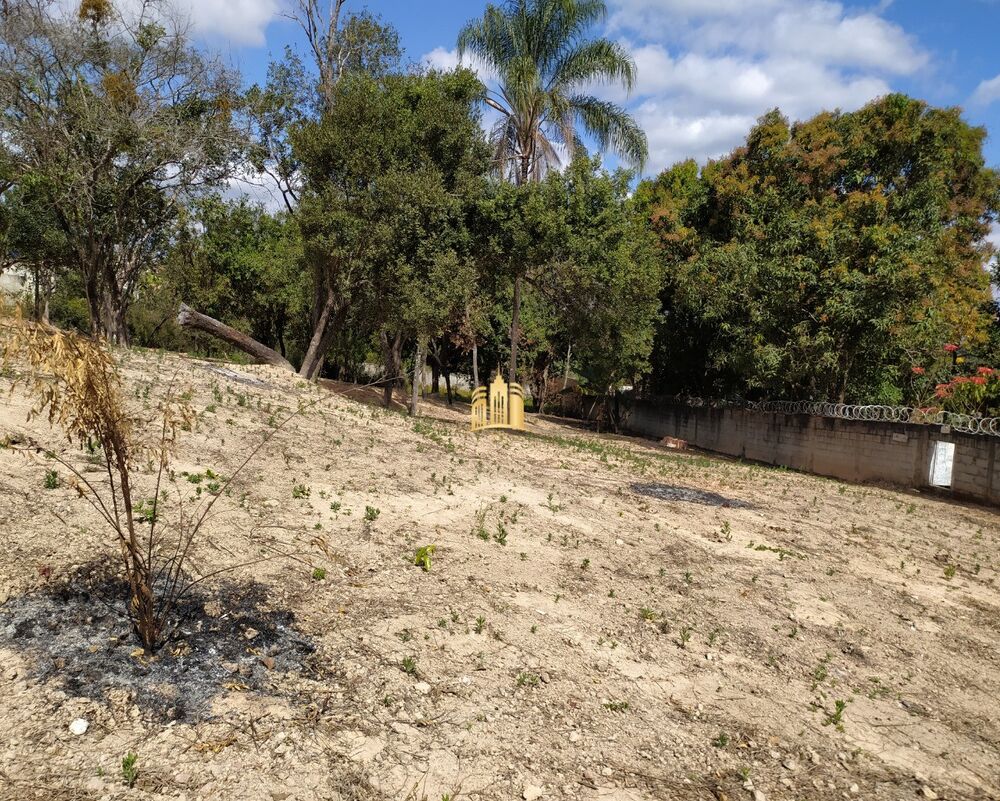 Terreno, 4028 m² - Foto 6