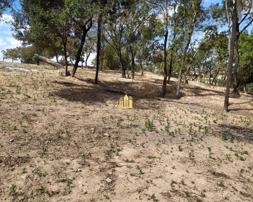 Terreno, 4000 m² - Foto 10