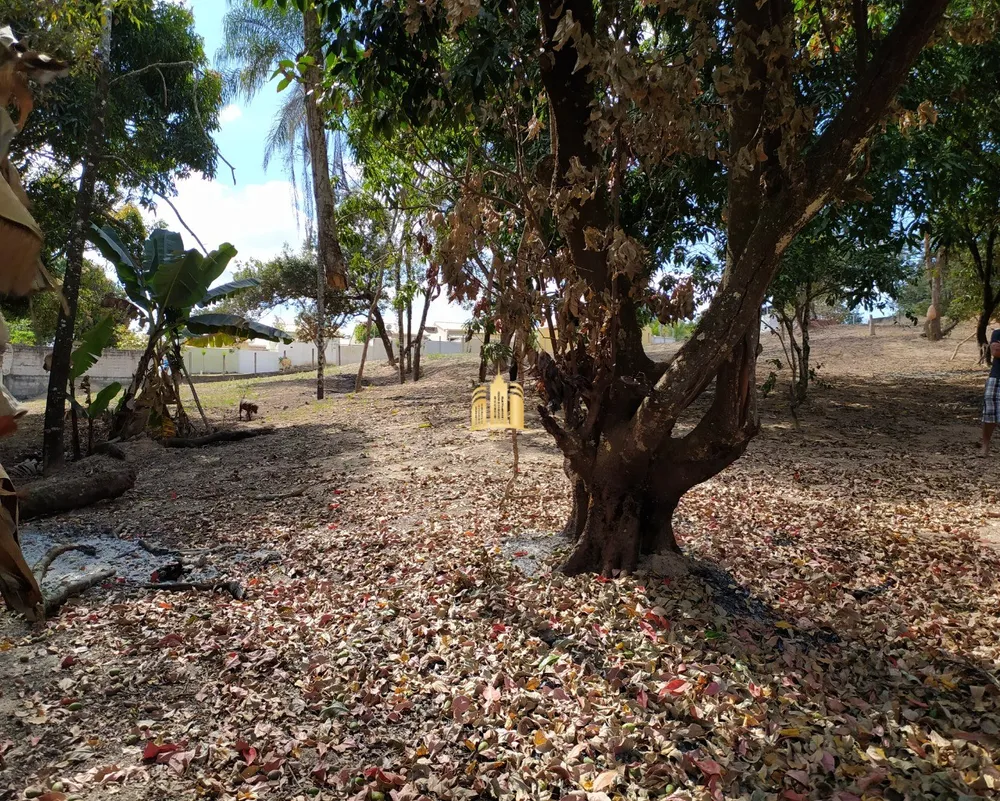 Terreno, 4000 m² - Foto 11