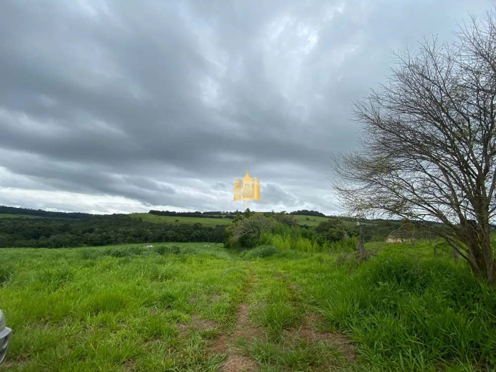 Terreno, 2 hectares - Foto 2