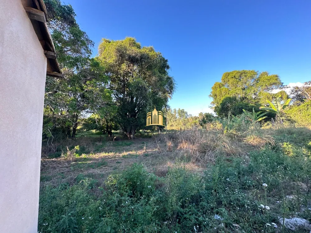 Fazenda, 117 hectares - Foto 8