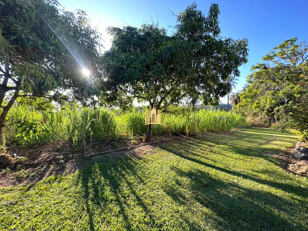Fazenda, 117 hectares - Foto 7