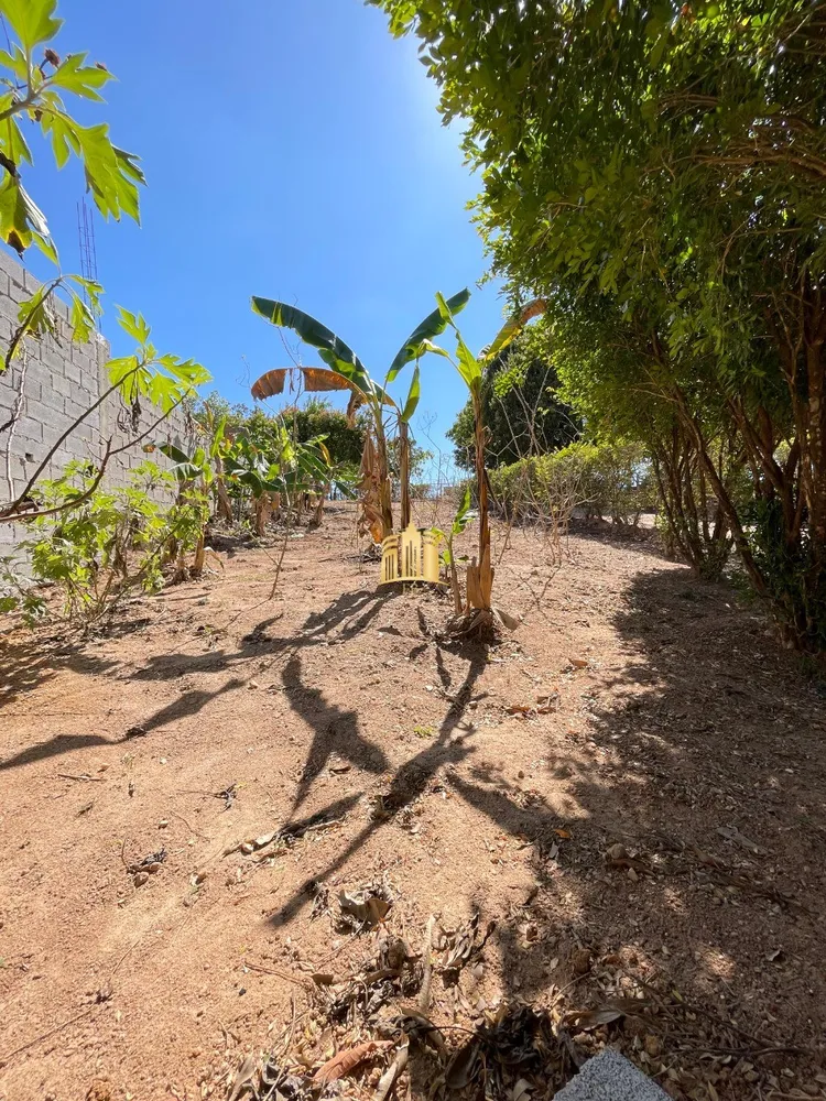 Chácara, 2 quartos, 3000 m² - Foto 4