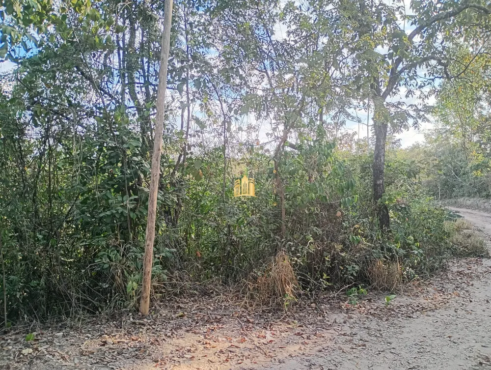 Terreno, 4000 m² - Foto 7