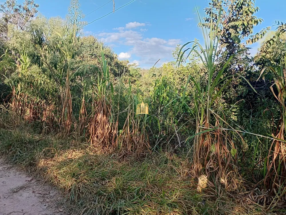 Terreno, 4000 m² - Foto 16