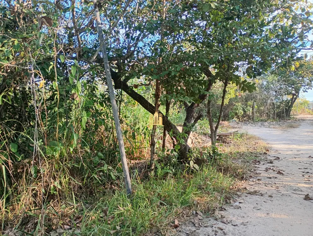 Terreno, 4000 m² - Foto 18