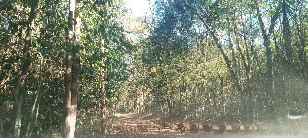 Sítio, 3 quartos, 5 hectares - Foto 3