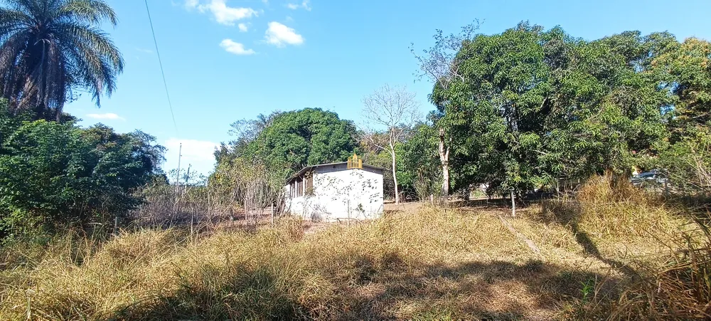 Sítio, 3 quartos, 5 hectares - Foto 4
