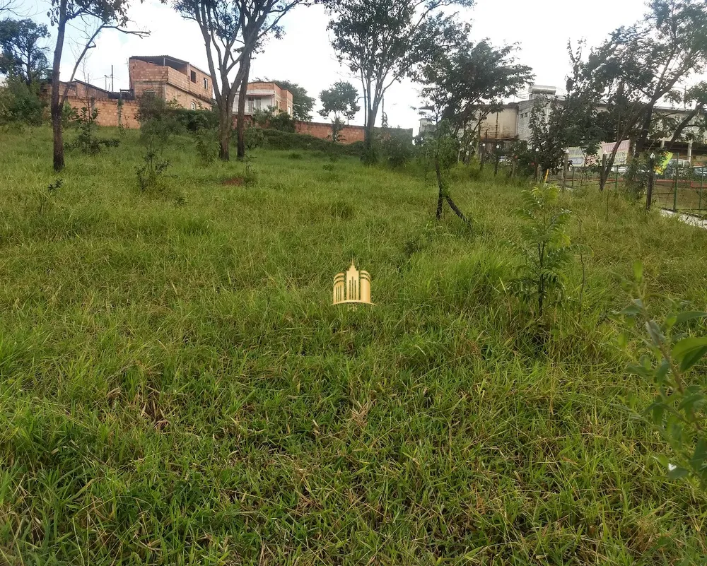 Loteamento e Condomínio, 4800 m² - Foto 10