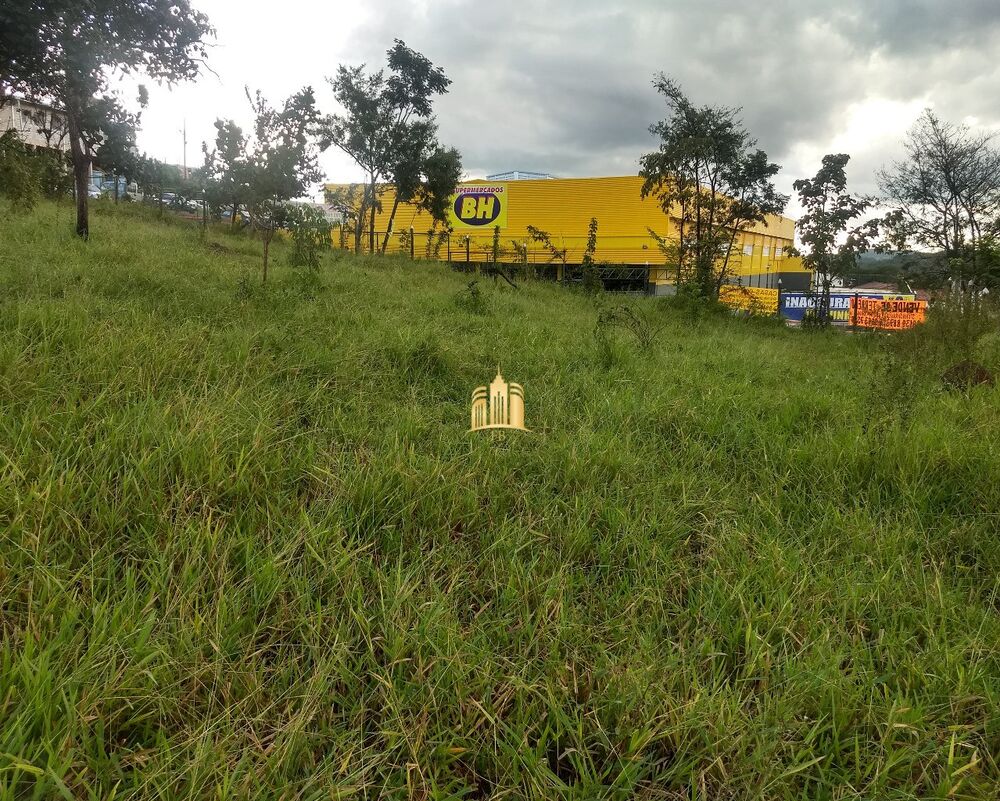 Loteamento e Condomínio, 4800 m² - Foto 4