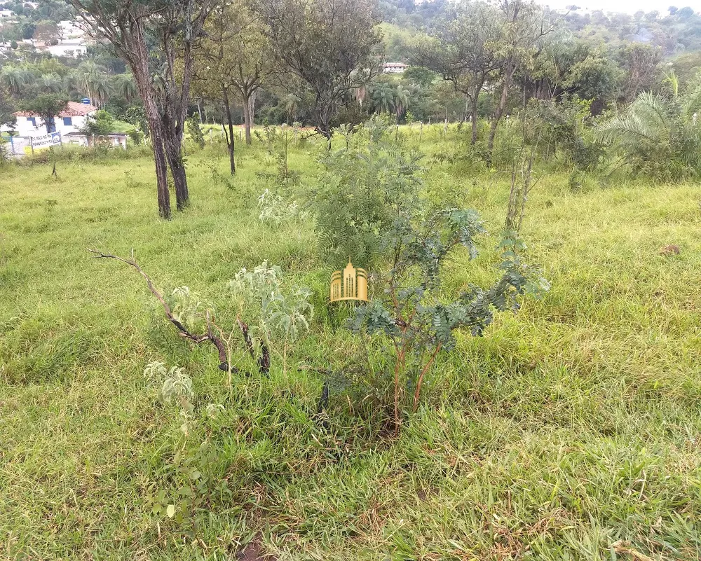 Loteamento e Condomínio, 4800 m² - Foto 15
