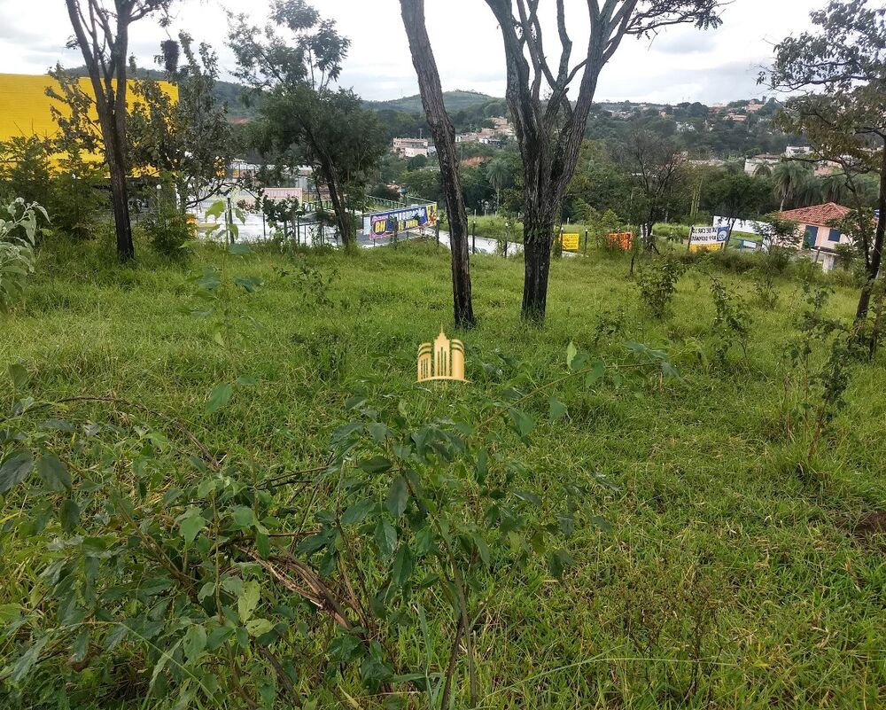 Loteamento e Condomínio, 4800 m² - Foto 7