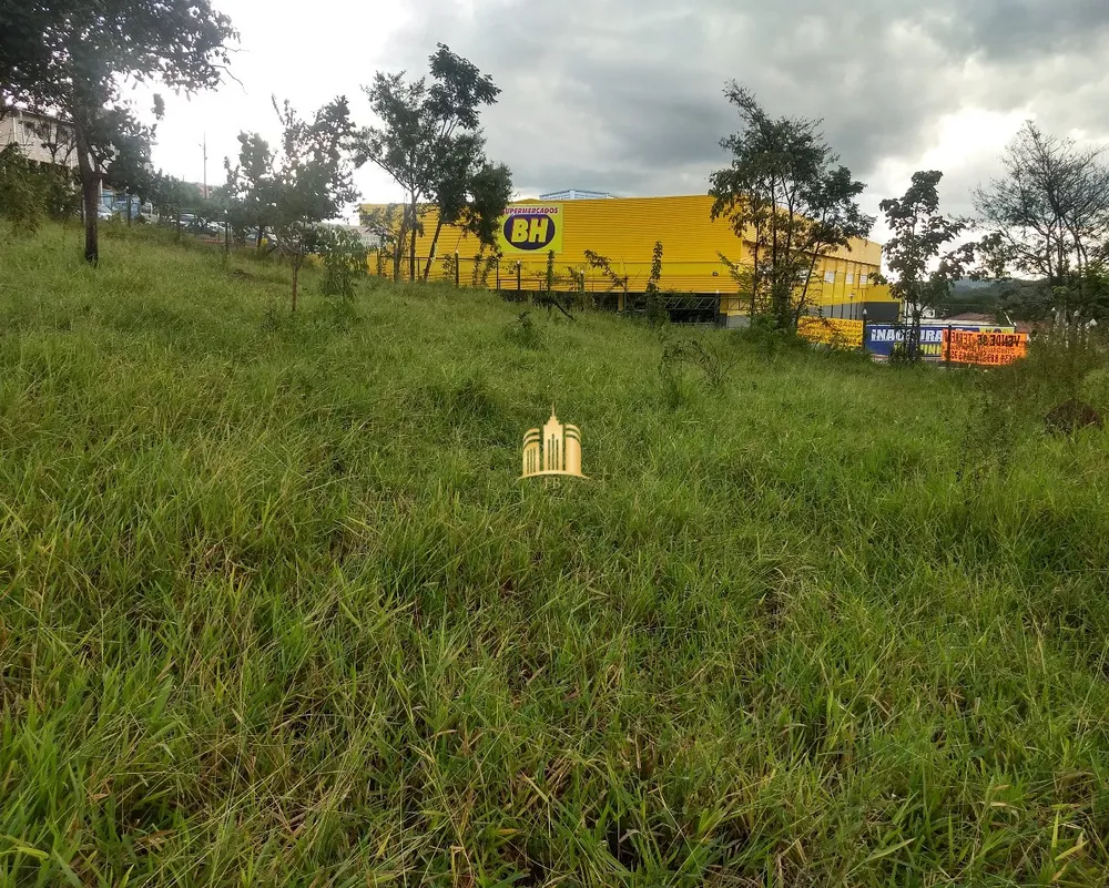 Loteamento e Condomínio, 4800 m² - Foto 14