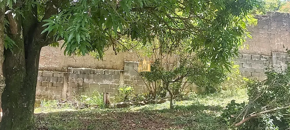 Casa, 2 quartos, 720 m² - Foto 9