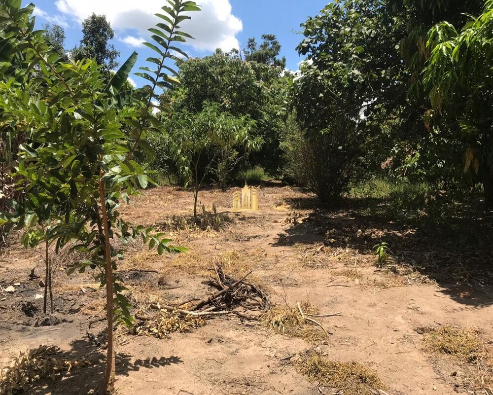 Terreno, 2000 m² - Foto 6