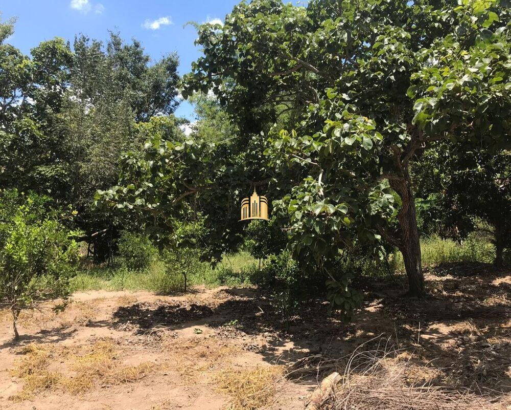 Terreno, 2000 m² - Foto 7