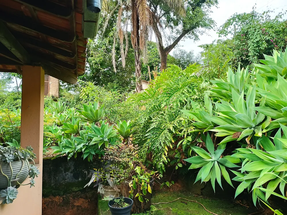 Sítio, 4 quartos, 3000 m² - Foto 6