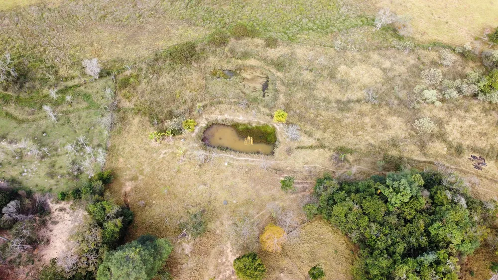 Sítio, 5 quartos, 3 hectares - Foto 8