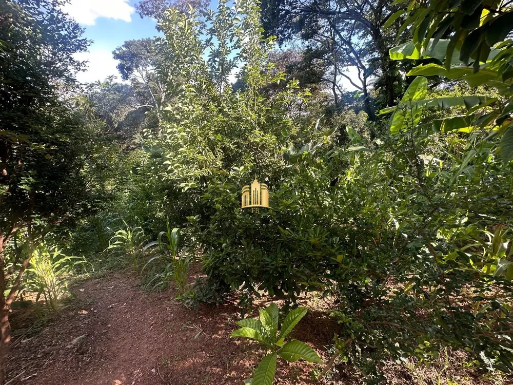 Terreno, 5000 m² - Foto 2