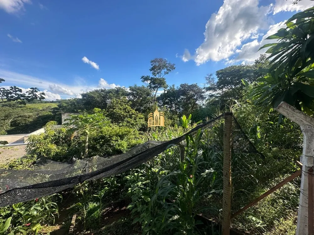 Terreno, 5000 m² - Foto 3