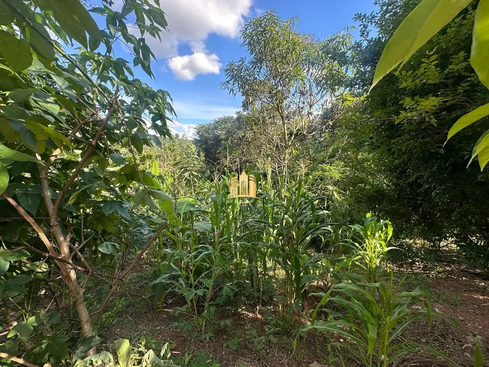 Terreno, 5000 m² - Foto 1
