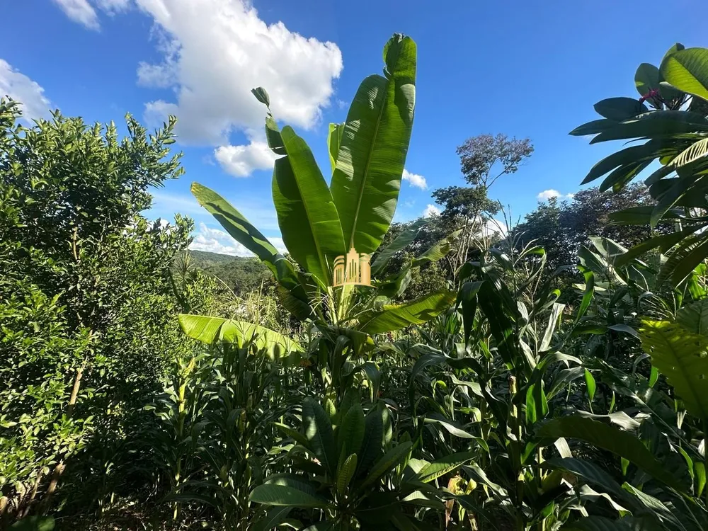 Terreno, 5000 m² - Foto 4
