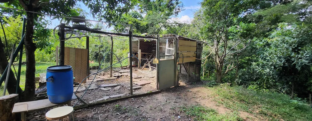 Sítio, 3 quartos, 1800 m² - Foto 31