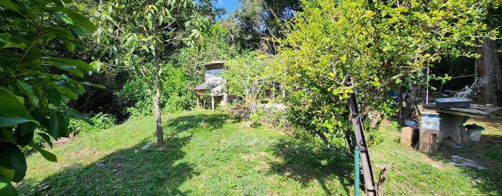 Sítio, 3 quartos, 1800 m² - Foto 32