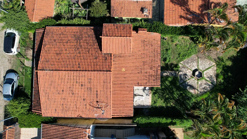 Sítio, 3 quartos, 540 m² - Foto 6