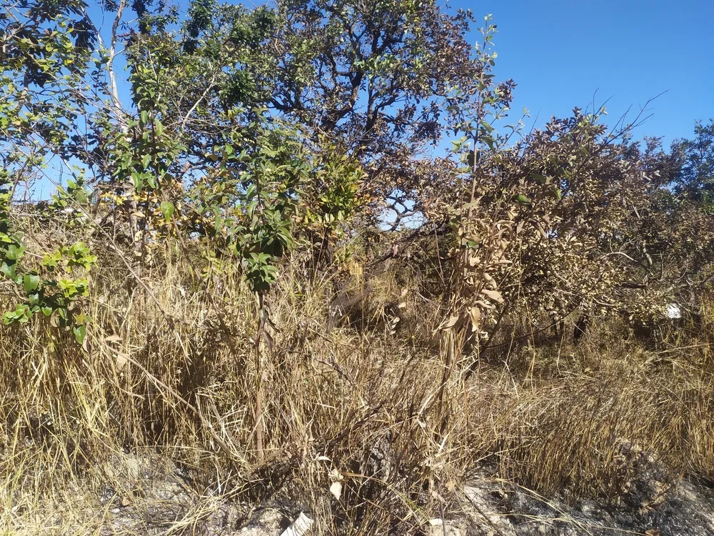 Terreno, 360 m² - Foto 7