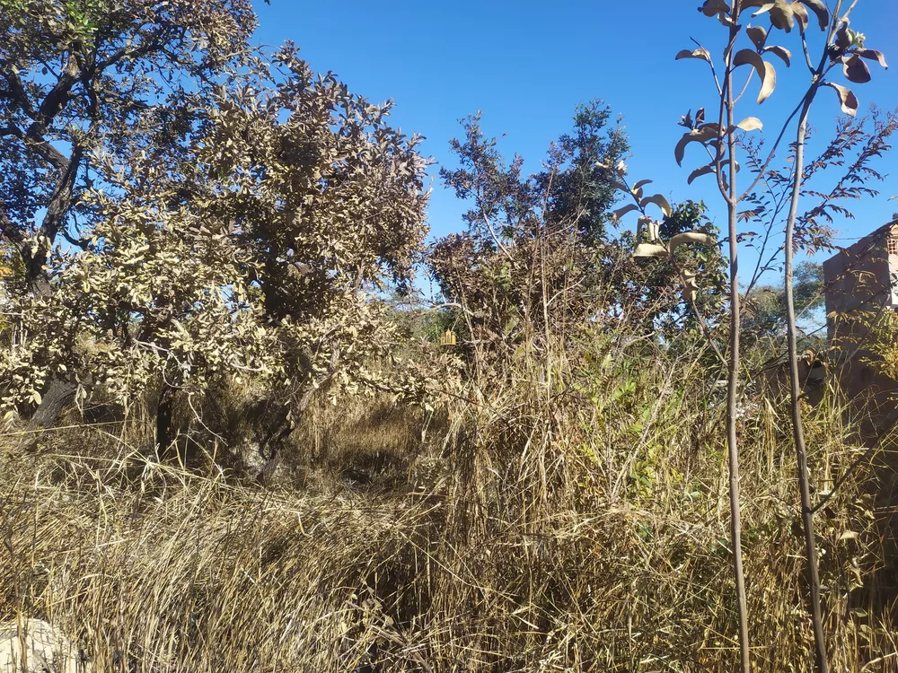 Terreno à venda, 360m² - Foto 7