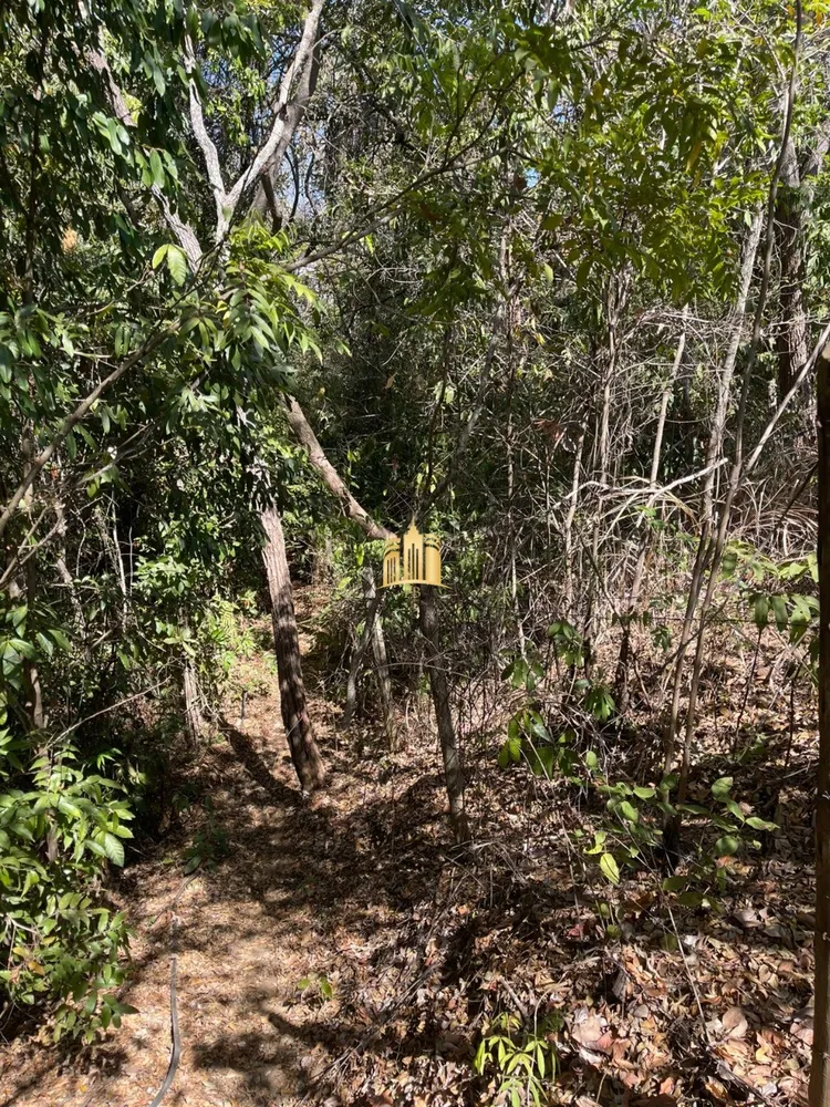 Terreno, 4 hectares - Foto 7