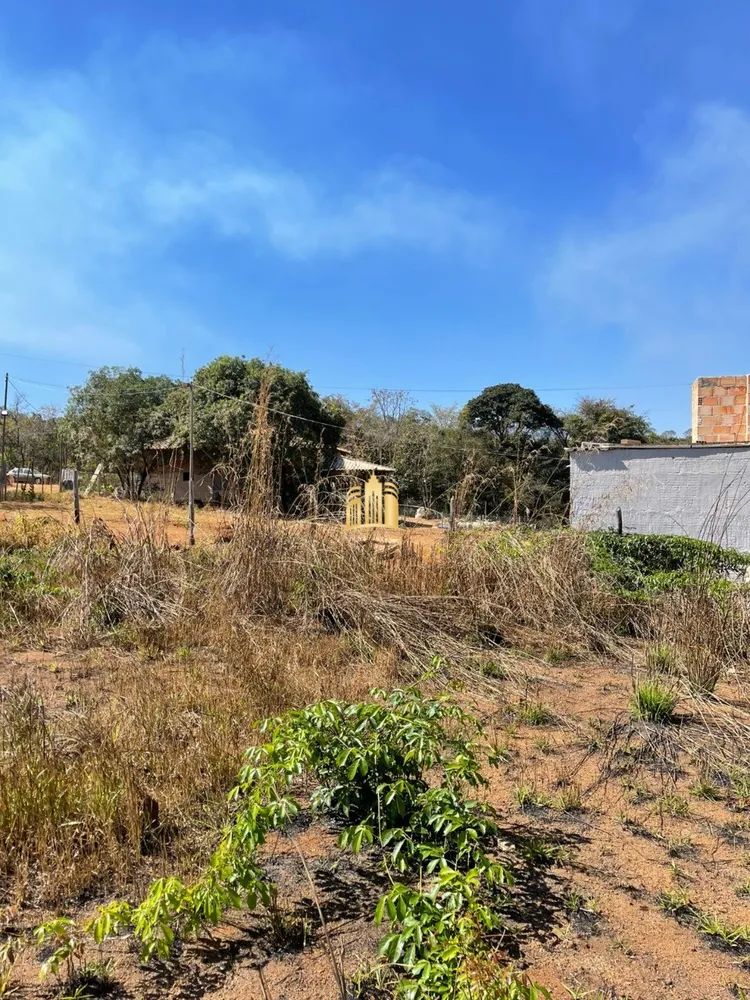 Terreno, 4 hectares - Foto 11